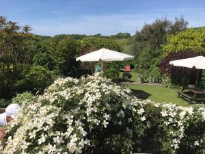 Corfe Castle Model Village