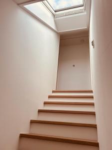 DachNest - Wundervolles neues Dachgeschoss Apartment für bis zu 4 Personen in Kirchentellinsfurt