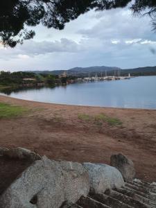 Appartements Appartement T2 bord de mer - Pianottoli-Caldarello : photos des chambres