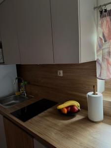 Apartment Mila