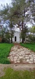 Esclusiva 140mq a porto selvaggio - 圣卡特琳娜迪纳德