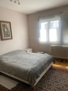 Apartman Lux