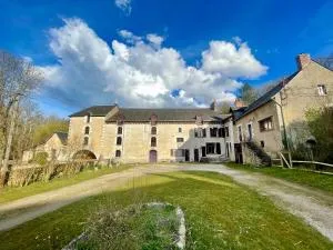 Gite du Meunier, Moulin de Vineuil, 4ch, 2sdb - Vineuil