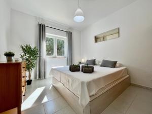 Apt SD - with pool and garden