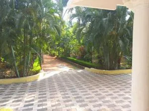 greenview homestay Mayyil - Mattanūr