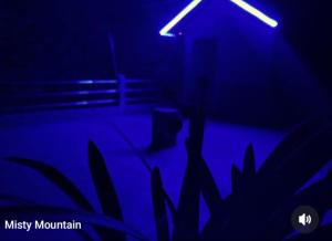 Misty Mountain Homestay, Darjeeling