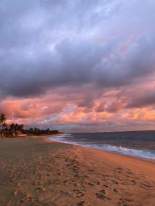 Costas Villa, Tropical Oasis, Sigiriya Room