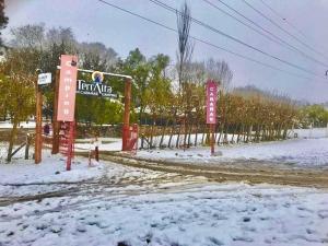 Terralta Mini Cabañas y Camping