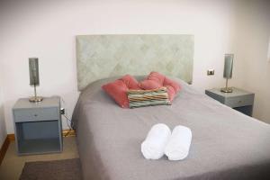 HOM I 1D1B en Valle Nevado Edif Valle Condores II VC2803