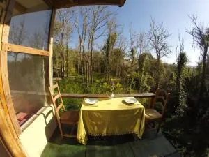 Hidden Forest Retreat - Baleia