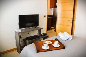 HOM I 1D1B en Valle Nevado Edif Valle Condores II VC2803