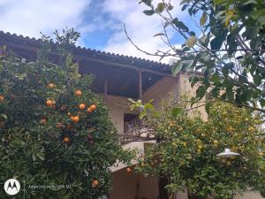 Spartan Antonis house