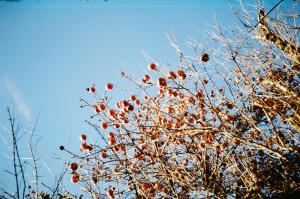 Apartment in the middle of Tbilisi