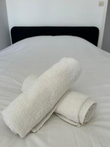 Appartements F4 lumineux proche Gare et centre ville : photos des chambres