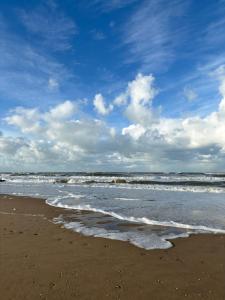 Appartements Appartement elegant au coeur de Cabourg : photos des chambres
