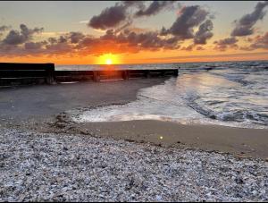Appartements Appartement elegant au coeur de Cabourg : photos des chambres