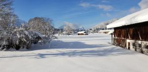 Ferienwohnungen Hanslbauer