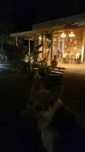 Aron's Farm - 育空河