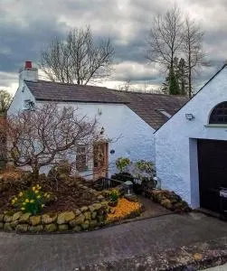 Riverside Cottage at Logwood Mill - Straid
