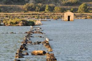 Appartements Tiny house Port la Nouvelle : photos des chambres