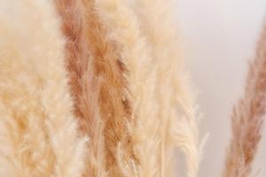 Appartements Le Cosy : photos des chambres