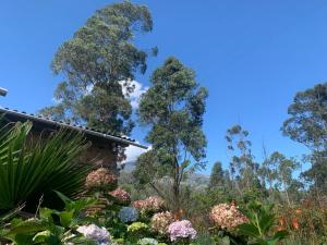 Cabaña Uvilla Turismo Sostenible