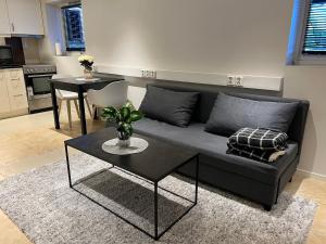 Cosy, modern apartment near the city center