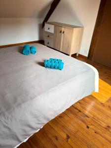 Appartements Appartement cosy en plein coeur de Montargis : photos des chambres