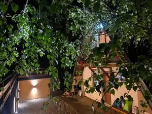 Vikendica Stojanović - Mionica