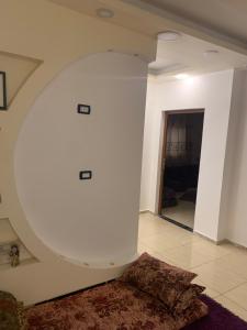 الأردن اربد الاشرفيه غابات برقش وأم النمل