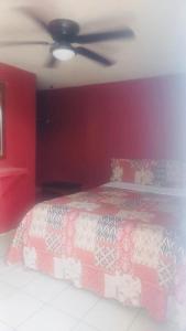 Hotel Nubia