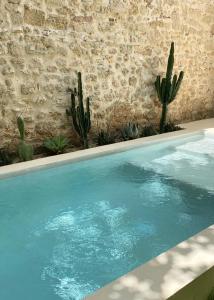 La Maison du Puisatier • Centre historique • Piscine chauffée •Jardin