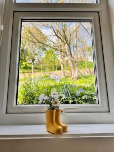 Delightful beachfront apartment - 2 bedrooms sleeps 4 - parking & stunning views