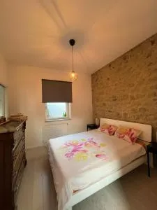 La Corte di Montagna - Omignano