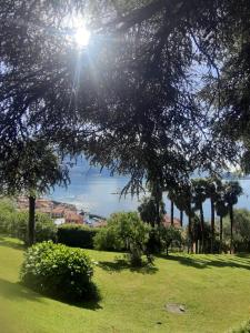 Giardino sul lago