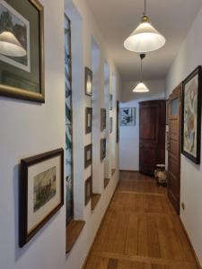 Apartament na Leśnym Zaciszu