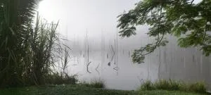 Maison en bord de rivière - 马罗尼河畔圣洛朗