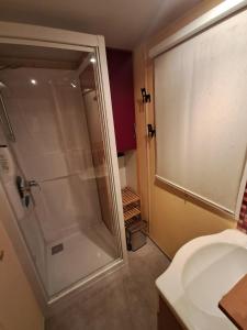 Mobil Home climatisé avec terrasse dans camping lEscale, calme, à 20 mn à pied de la plage