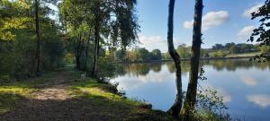 Villas La Popinette : photos des chambres