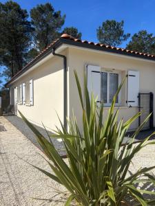 Maisons de vacances Maison neuve classement 3 etoiles avec acces prive piste cyclable, 6 personnes : photos des chambres