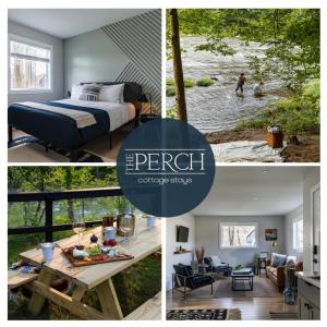 Perch Cottages #3 - Mountain Views, Sauna, Private Creek Access