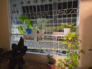 35 Amistad Guesthouse for family of 20 guest