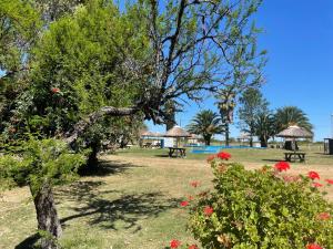 Familias felices vuelven a esta cabaña
