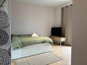 The Cozy Nest Stylish and Serene City Studio