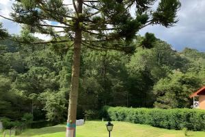 Linda residência em Campos do Jordão - SP