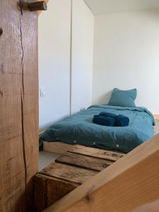 B&B / Chambres d'hotes Moulin de Saza : photos des chambres