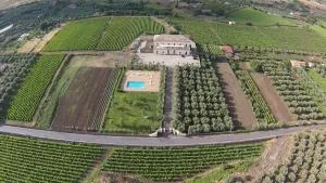 Feudo Vagliasindi -Wine Experience- - Randazzo