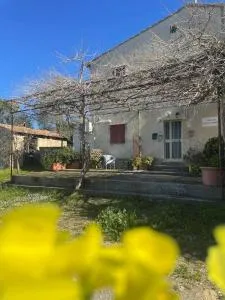 Virgy's house - Vignale