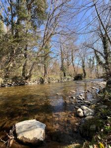 Maisons de vacances Spacious family home with river access : photos des chambres