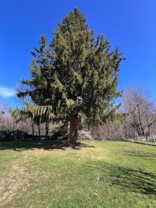 Maisons de vacances Spacious family home with river access : photos des chambres